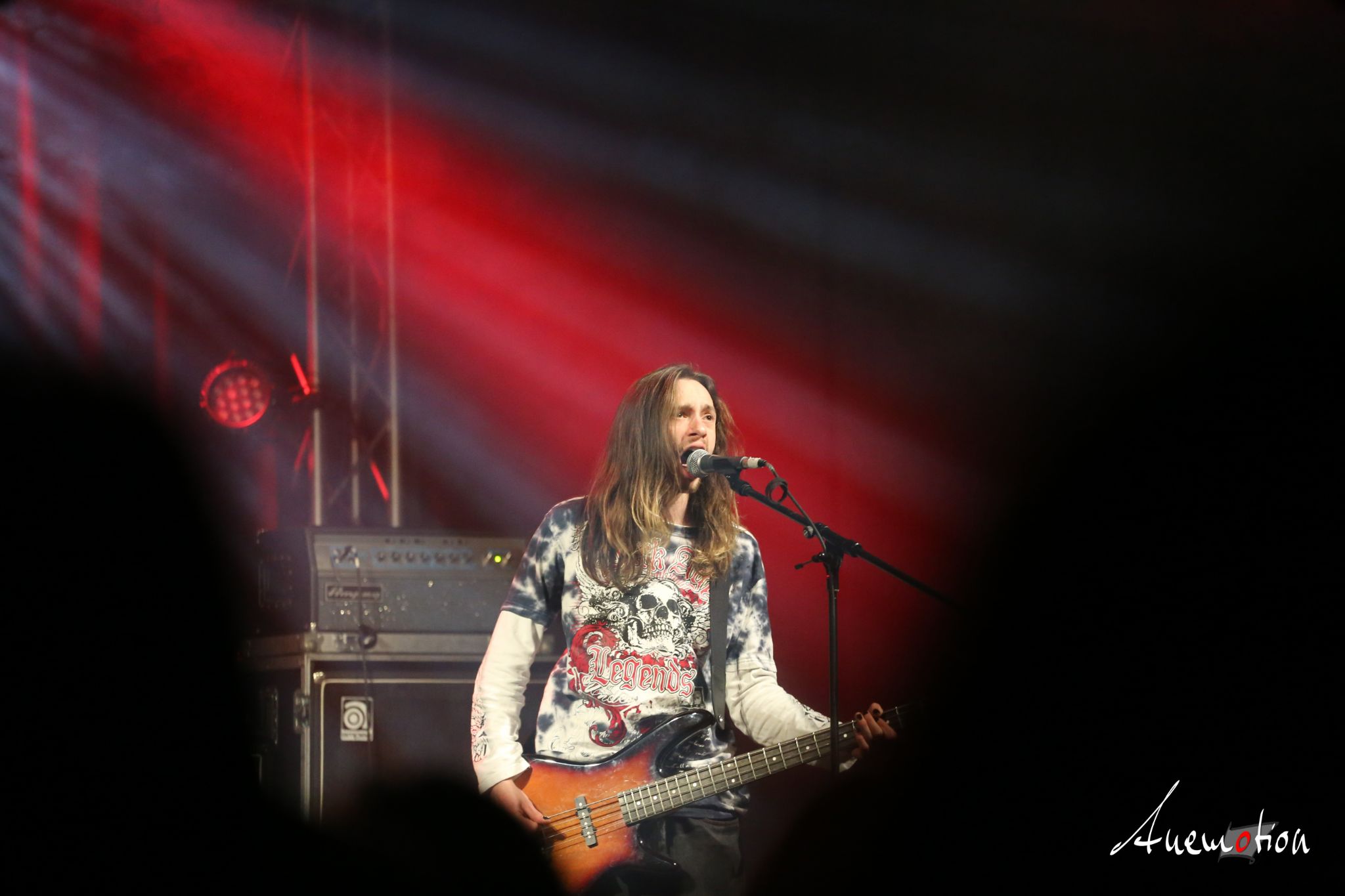 ElephantsFalling (3)